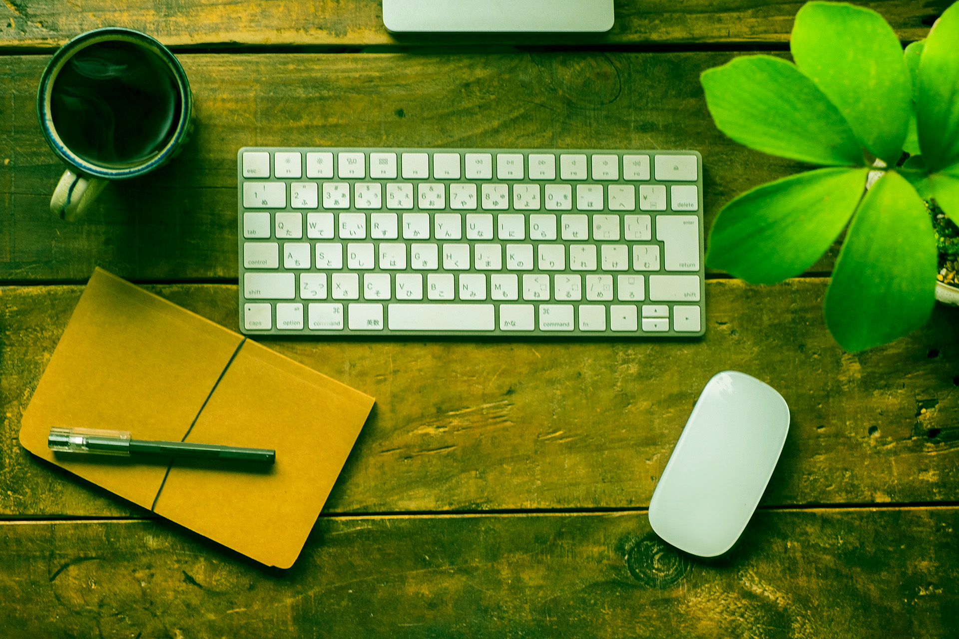 ミントグリーン