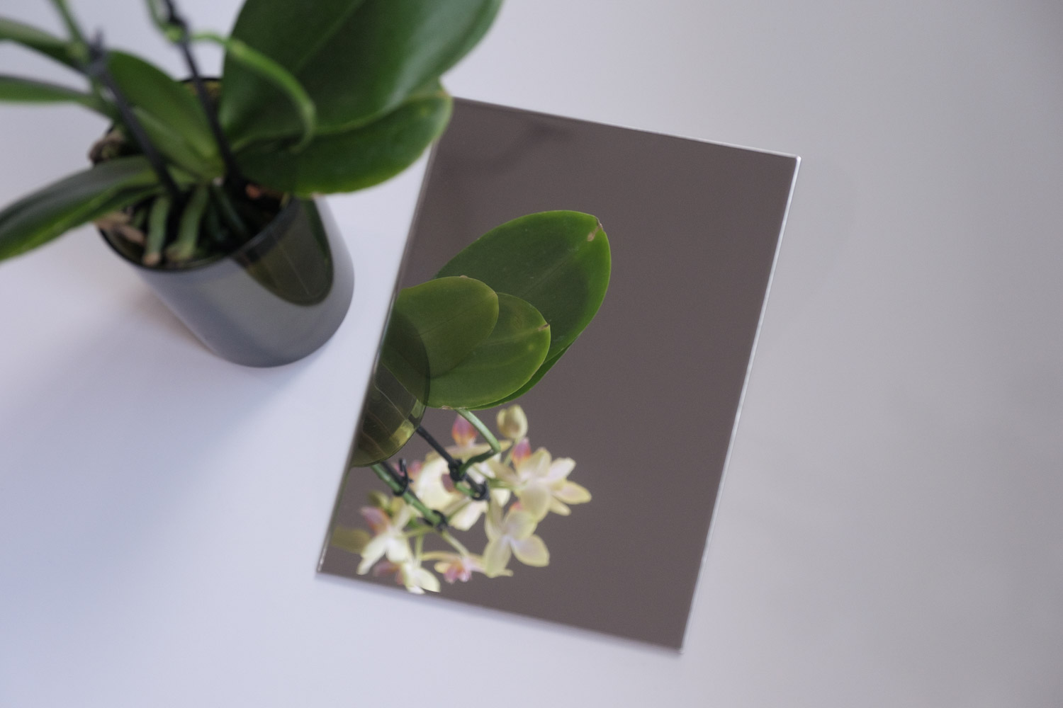 アルポリック/fr RF 01の参考画像