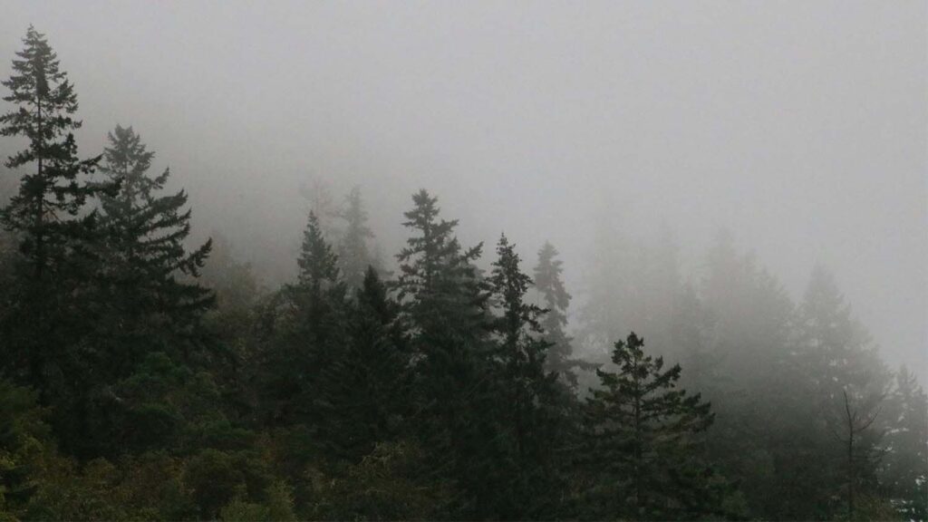 シンディエラミラーイメージ