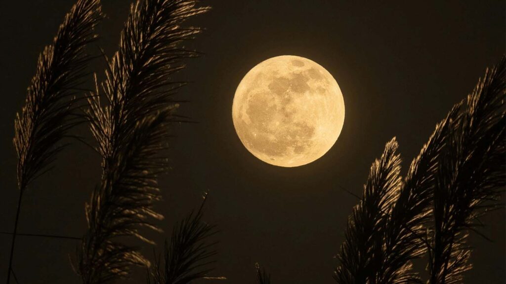 ルナランプミラーイメージ